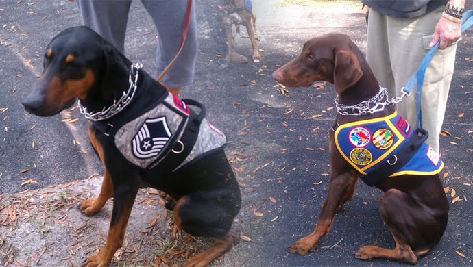 Mary's Stitchery and Crafts service dog vests