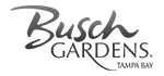 Busch Gardens Tampa