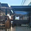 Clasico / Chapter 11 canopy and retractable screens