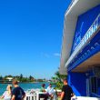 Shark Tales Retractable Awning