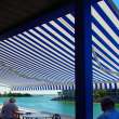 Shark Tales Retractable Awning