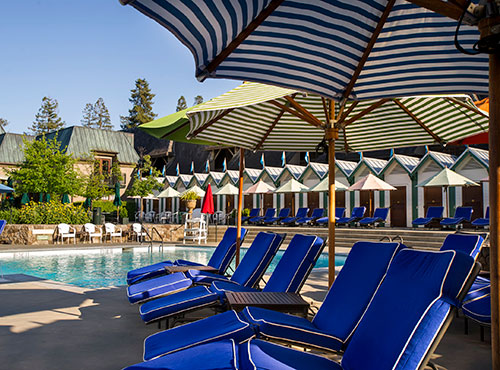 cushions coppola winery